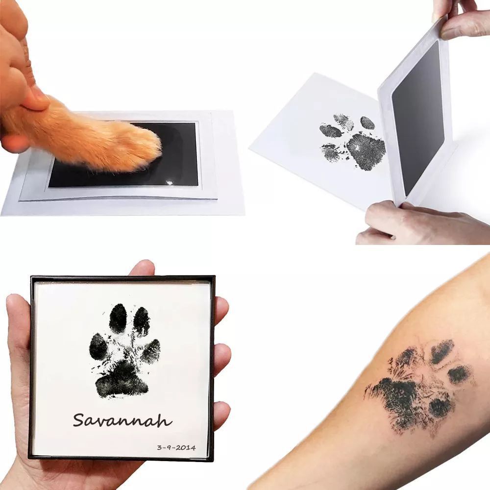 Mess Free Paw Print Stamp Kit