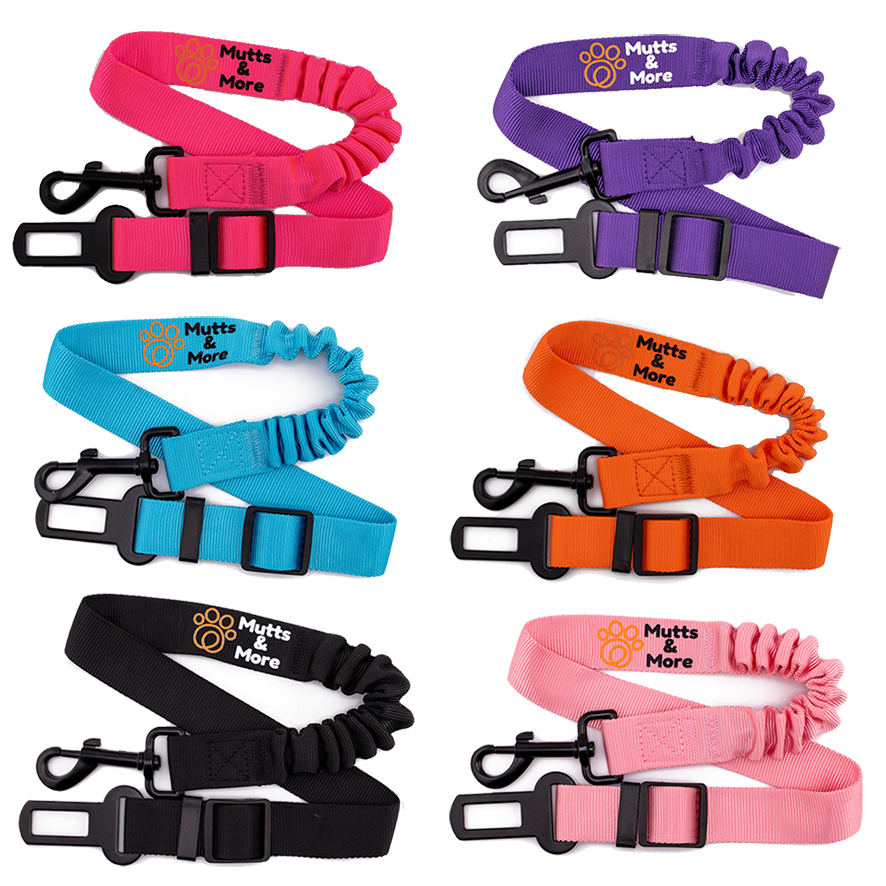 Bungee Flex Dog Car Harness