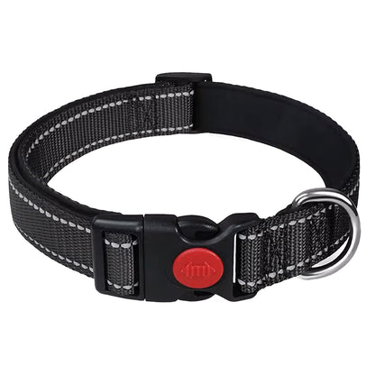 Padded Adjustable Dog Collars - Multiple Colours