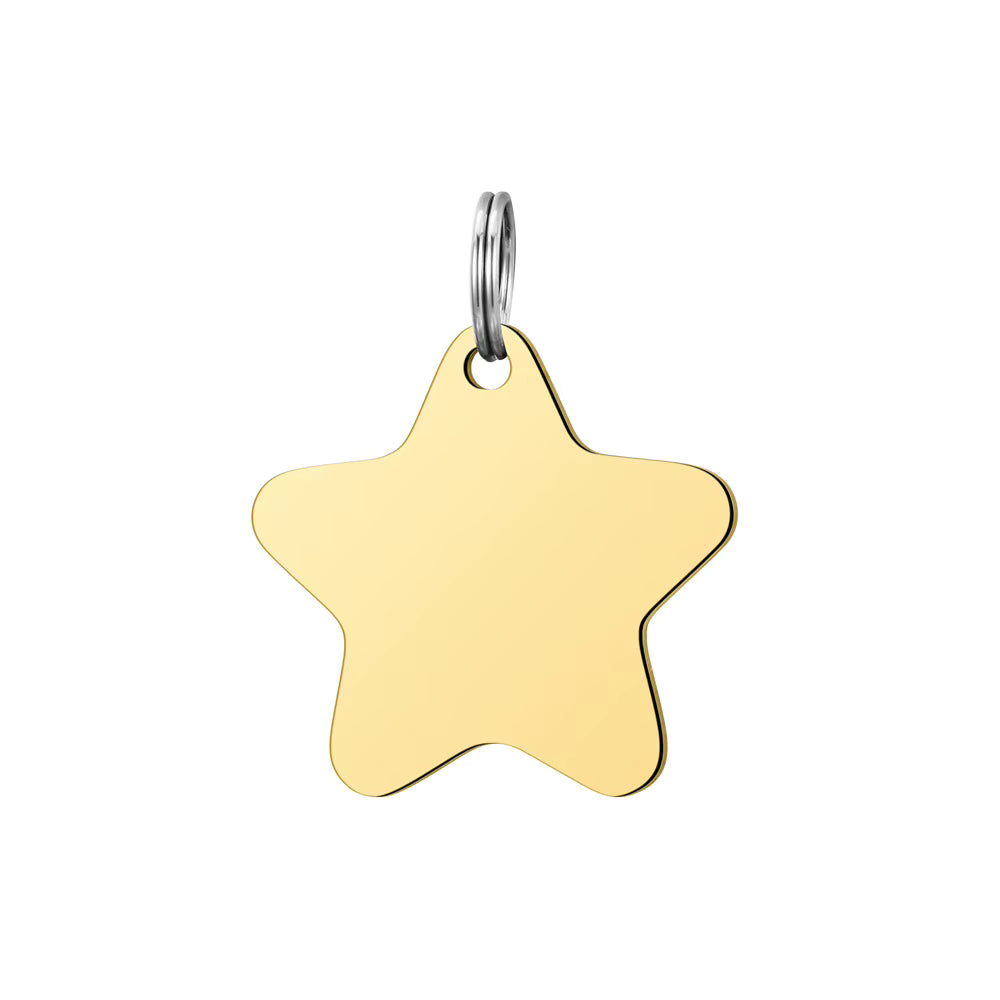 Stainless Steel ID Tags - Star