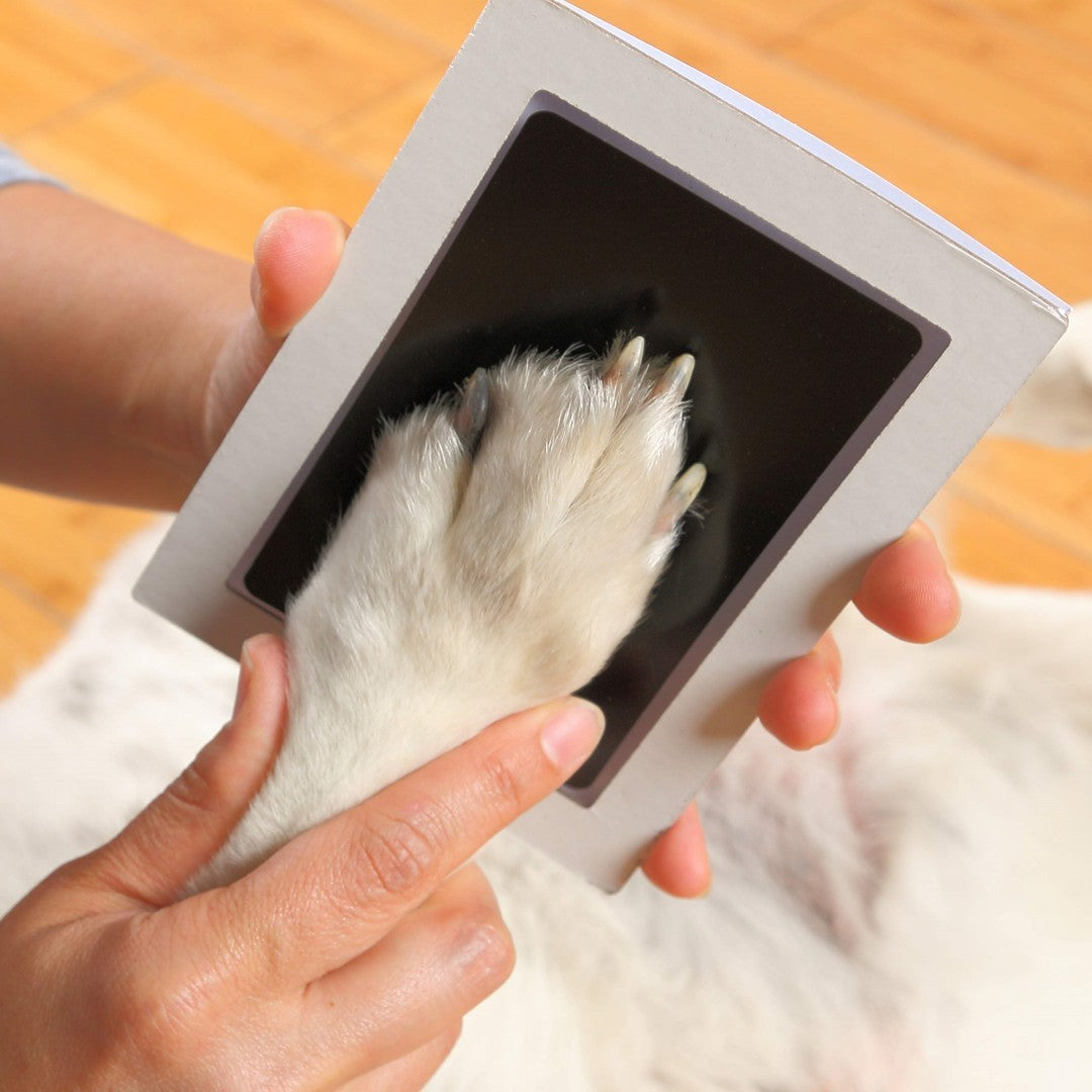 Mess Free Paw Print Stamp Kit