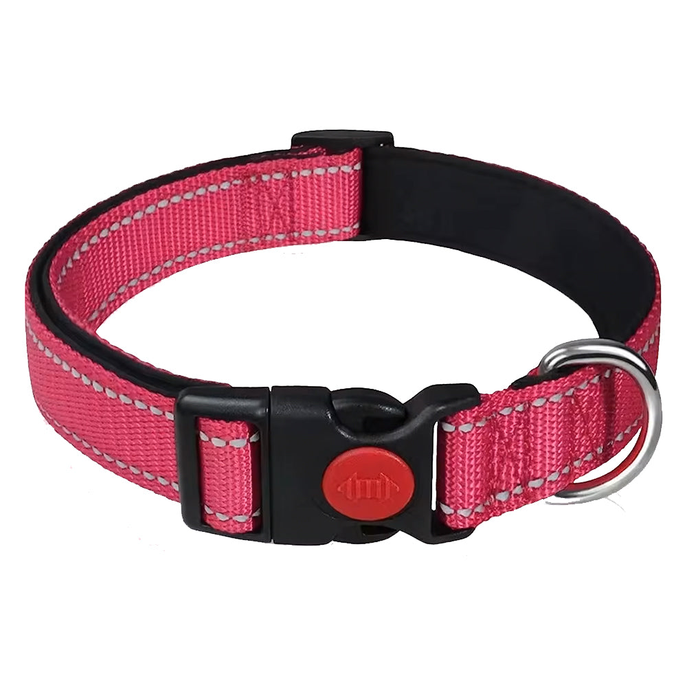 Padded Adjustable Dog Collars - Multiple Colours