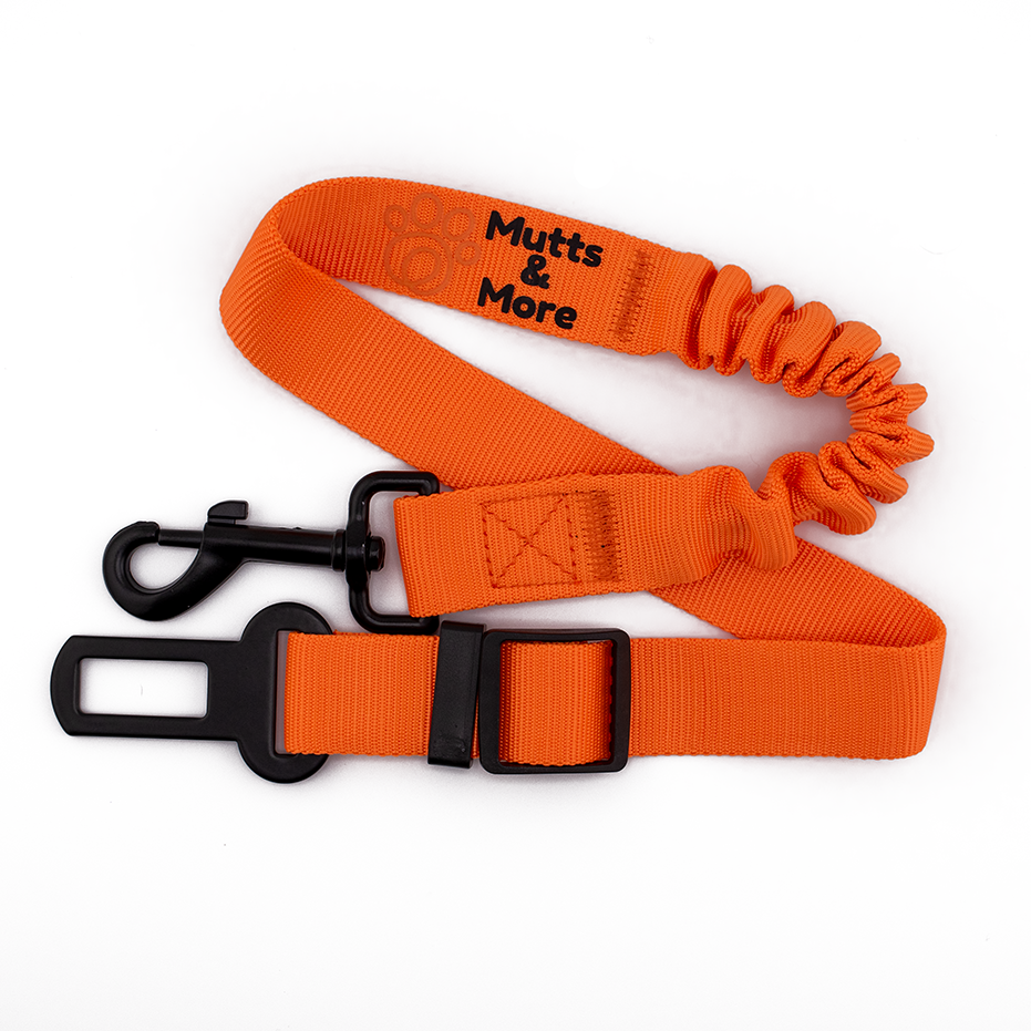 Bungee Flex Dog Car Harness