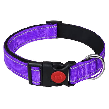 Padded Adjustable Dog Collars - Multiple Colours