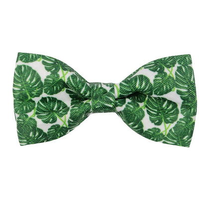 Dog Collar Bows - Tropical