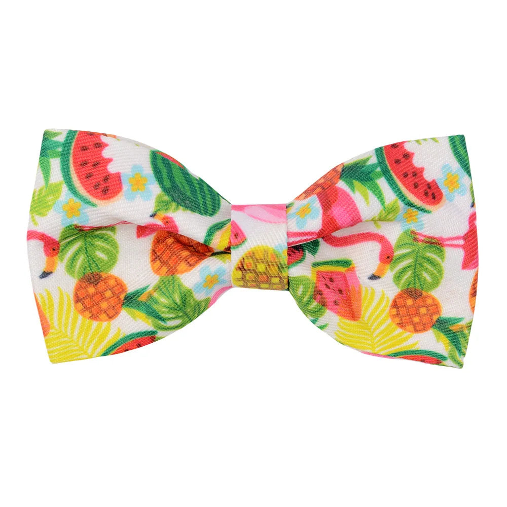 Dog Collar Bows - Tropical