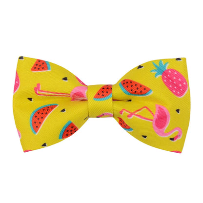 Dog Collar Bows - Tropical