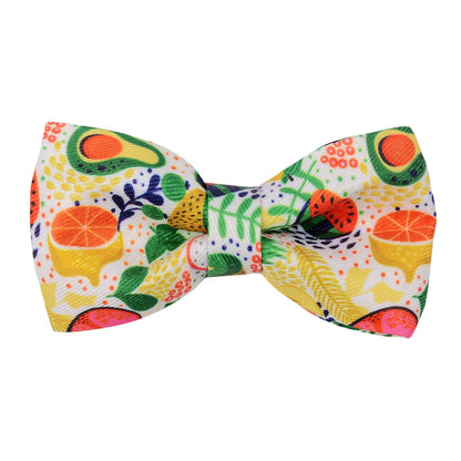 Dog Collar Bows - Tropical