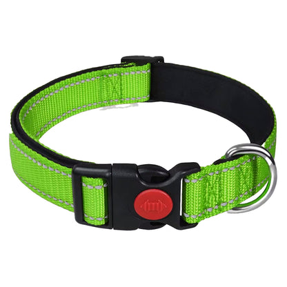 Padded Adjustable Dog Collars - Multiple Colours